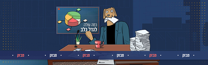 How much does it cost to raise a dog illustration