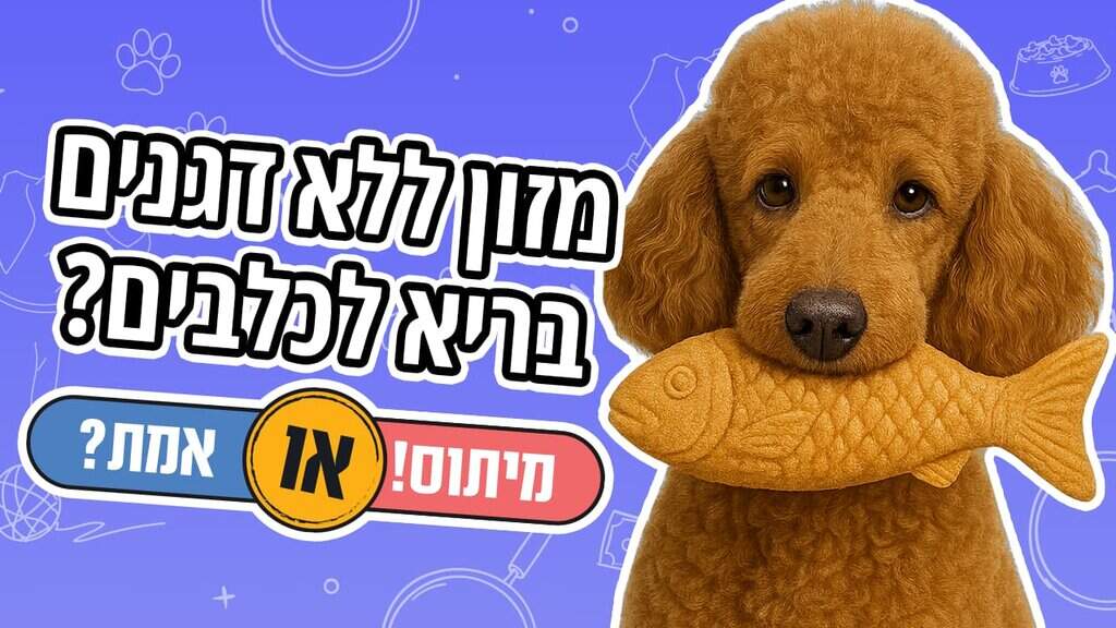 2025/08/כלבים-צריכים-copy.jpg