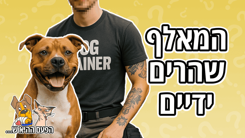 סיפור על המאלף שאיבד שליטה